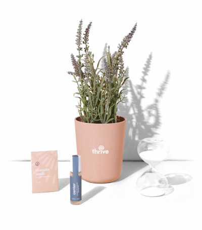 Modern Sprout® Self-Care Gift Set